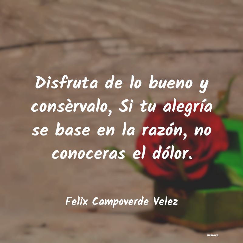 Frases de Felix Campoverde Velez