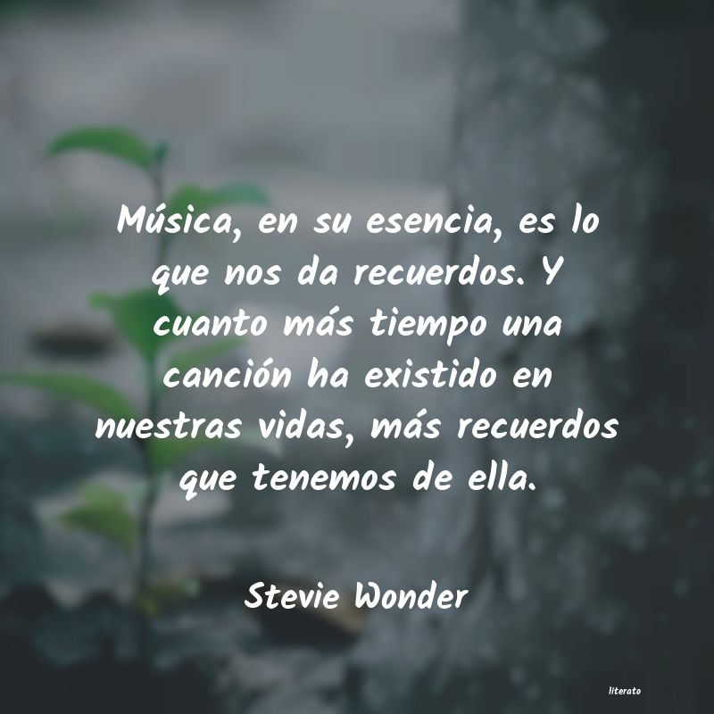 Frases de Stevie Wonder