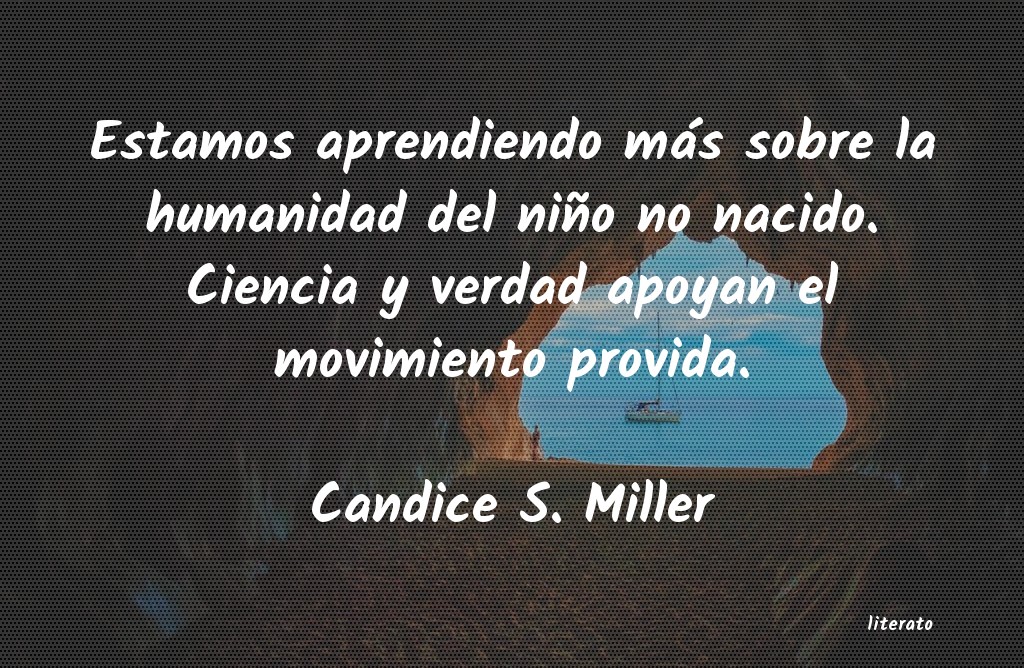 Frases de Candice S. Miller