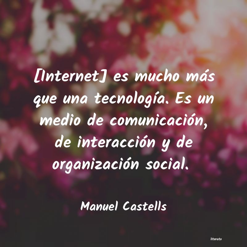 frases de Manuel Castells