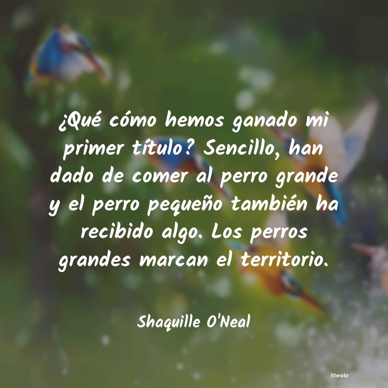 Frases de Shaquille O'Neal