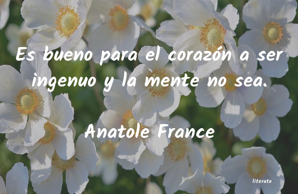 Frases de Anatole France