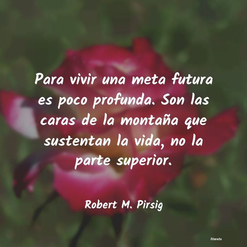 frases de Robert M. Pirsig