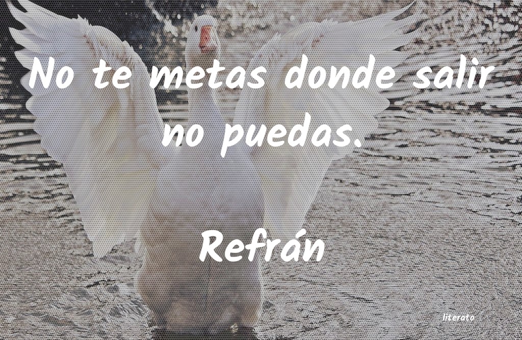 Frases de Refrán