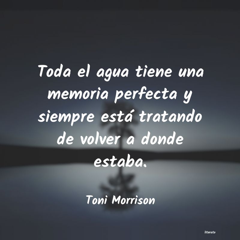 Frases de Toni Morrison