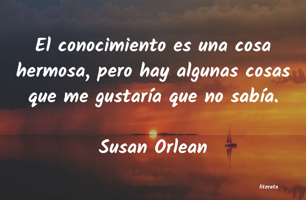 frases de Susan Orlean