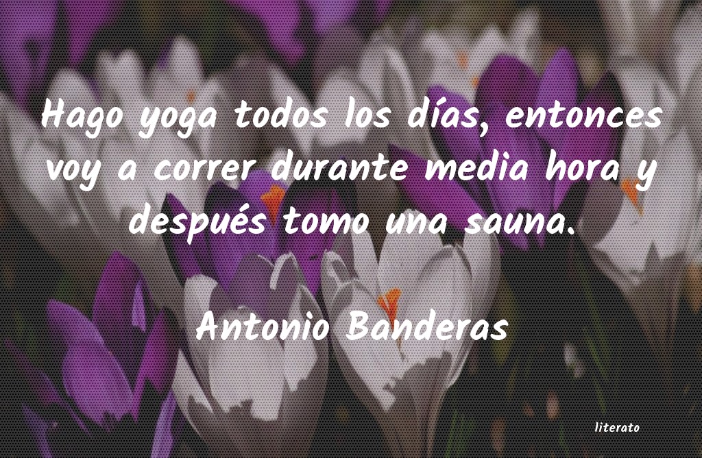 frases de Antonio Banderas