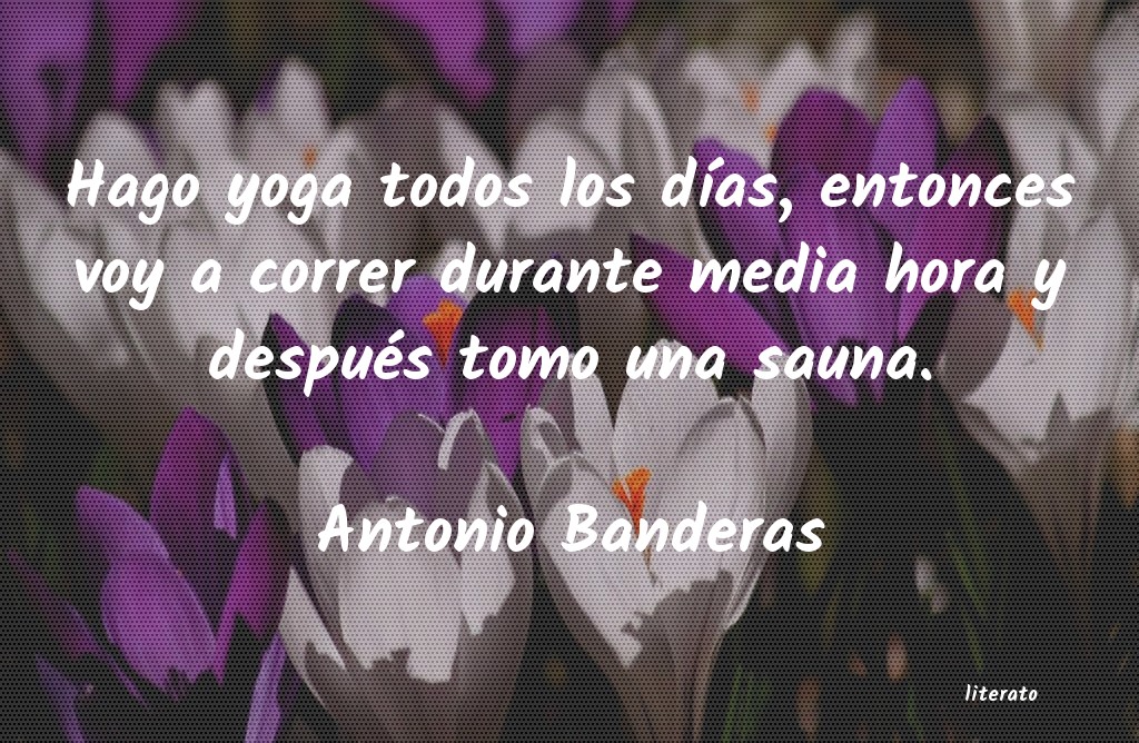 Frases de Antonio Banderas