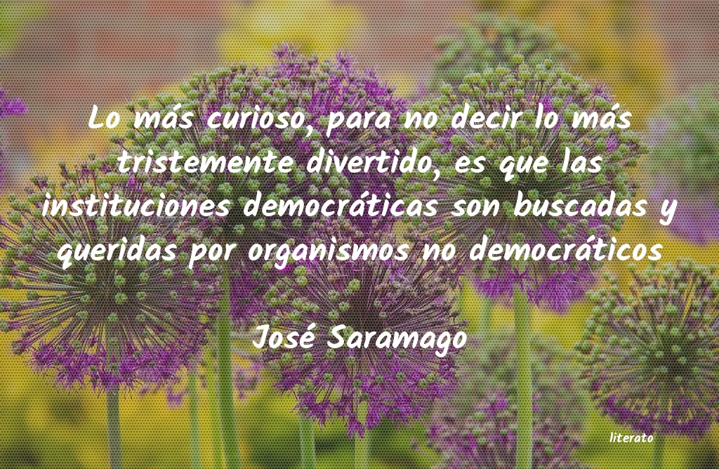 Frases de José Saramago