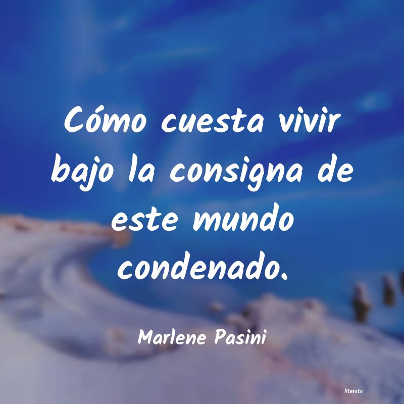 Frases de Marlene Pasini