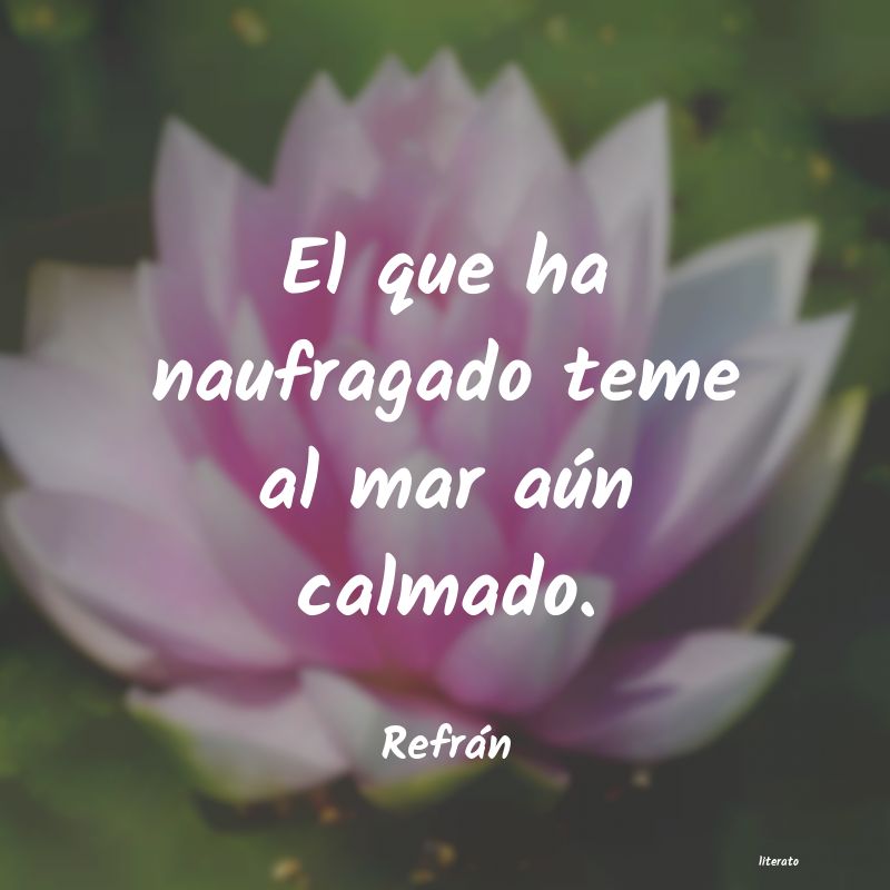 frases de Refrán