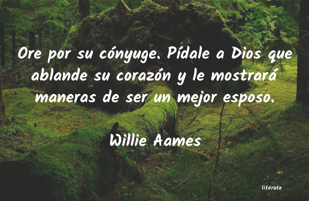 Frases de Willie Aames