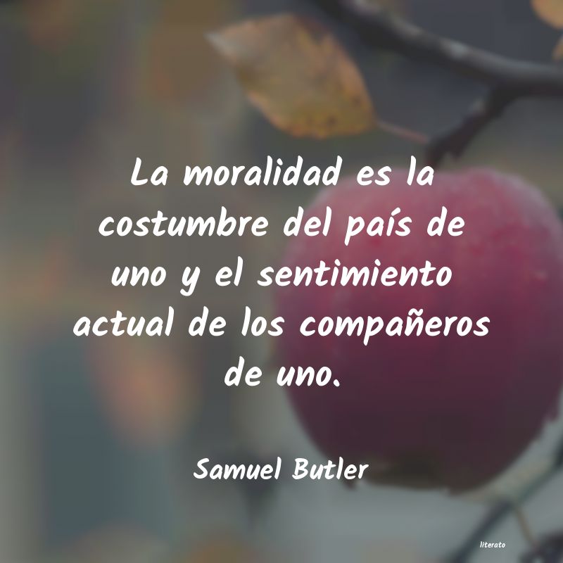 Frases de Samuel Butler