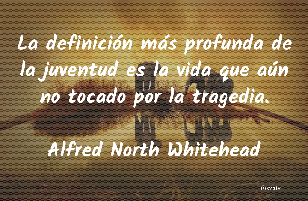 Frases de Alfred North Whitehead