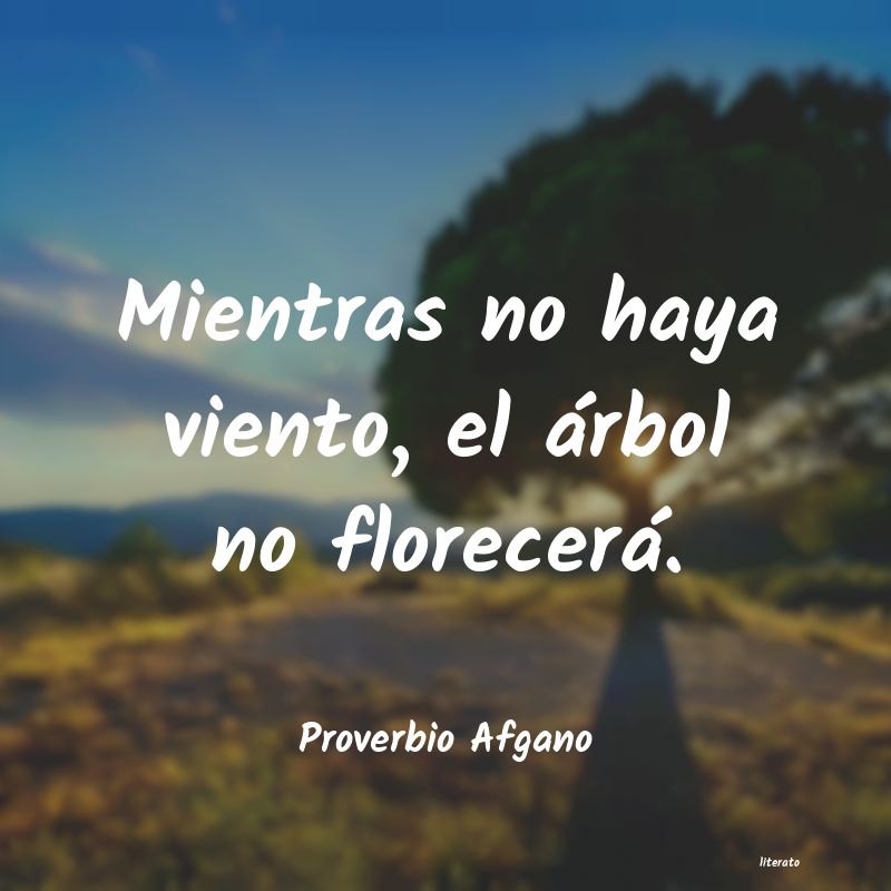 Frases de Proverbio Afgano