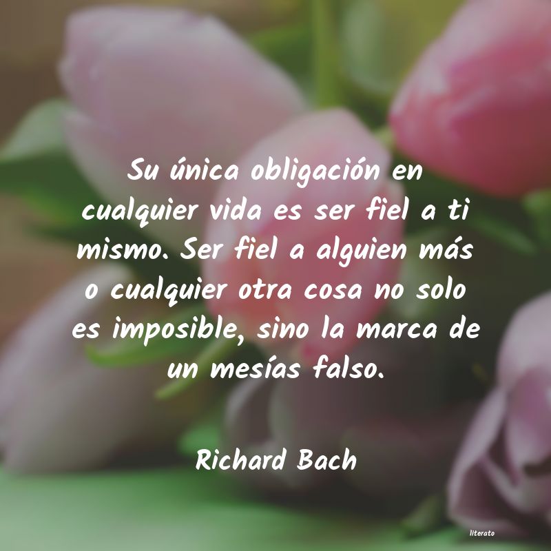 Frases de Richard Bach