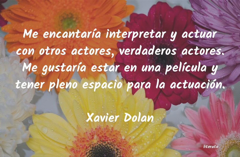 Frases de Xavier Dolan