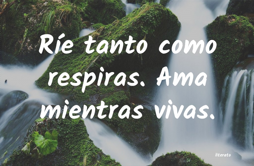 Frases de 