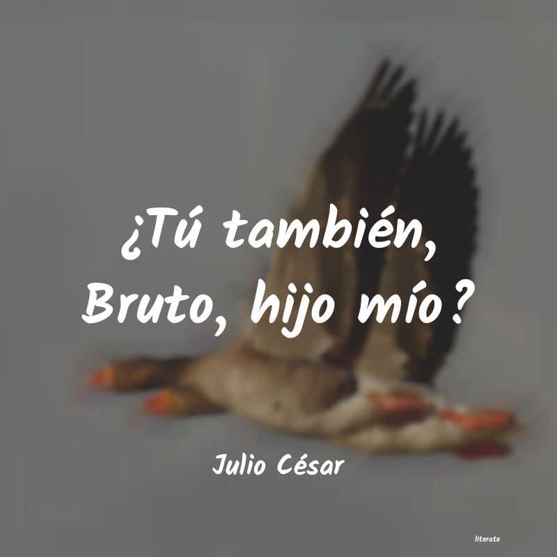 frases de Julio César
