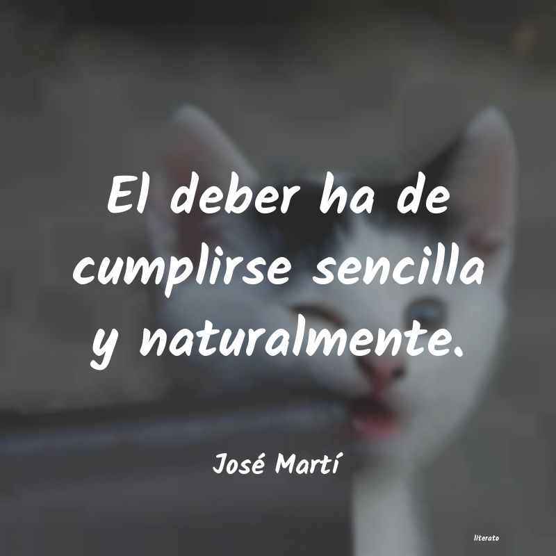 frases de JosÃ© MartÃ­