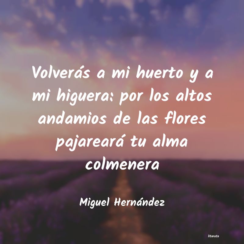 poesias cortas de miguel hernandez para niÃ±os