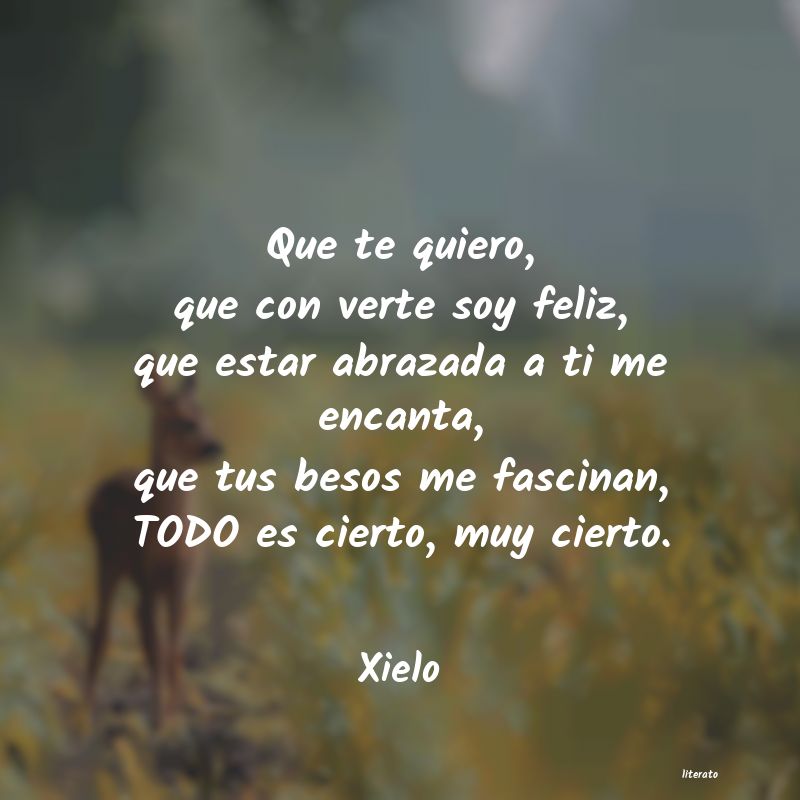 frases de Xielo