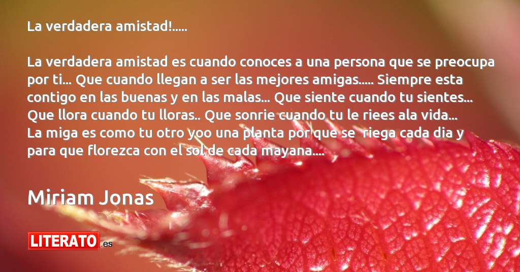 Frases de Miriam Jonas