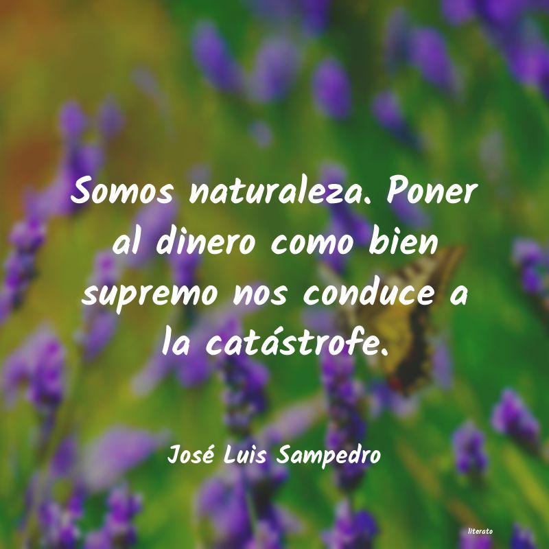 Frases de José Luis Sampedro