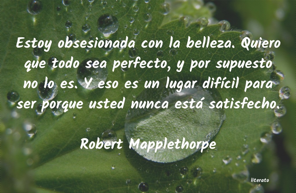 Frases de Robert Mapplethorpe