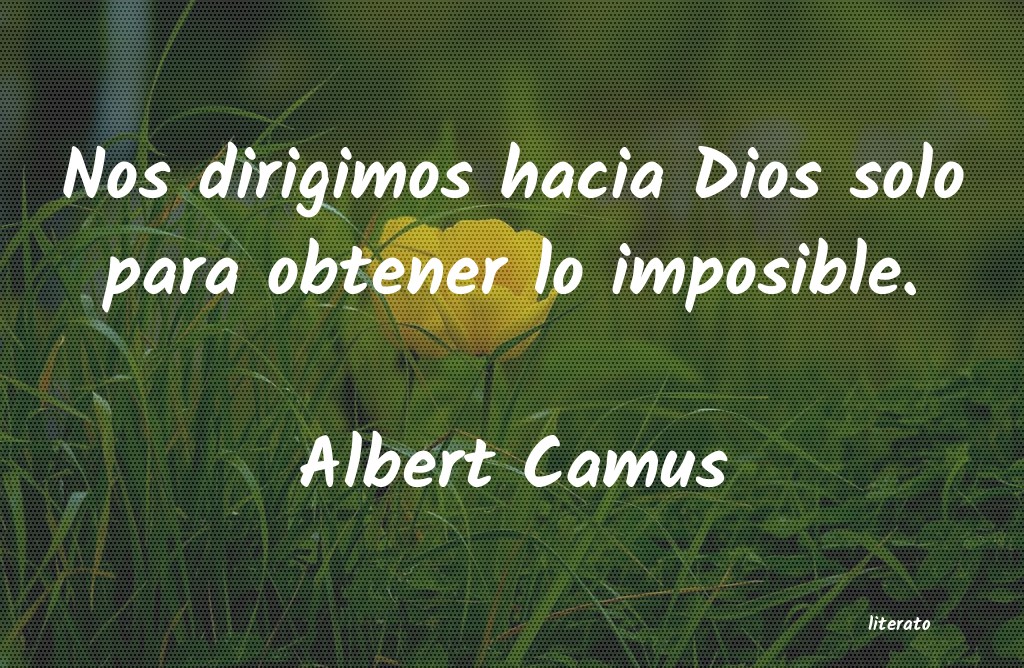 Frases de Albert Camus