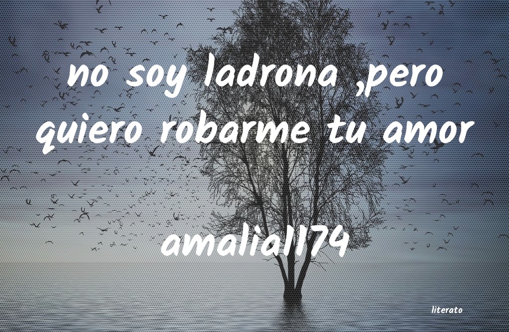 Frases de amalia1174