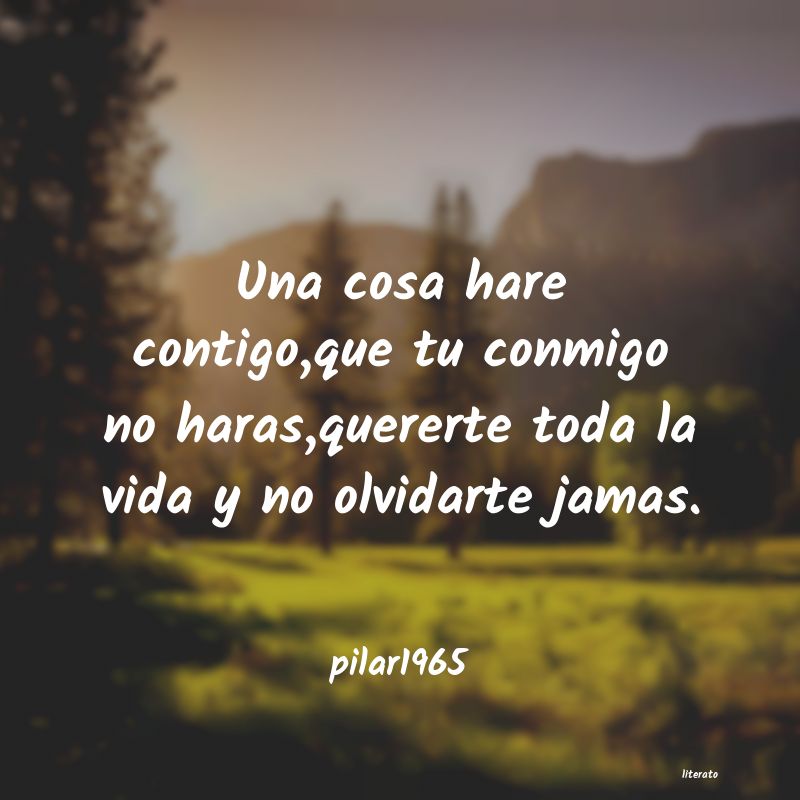 Frases de pilar1965