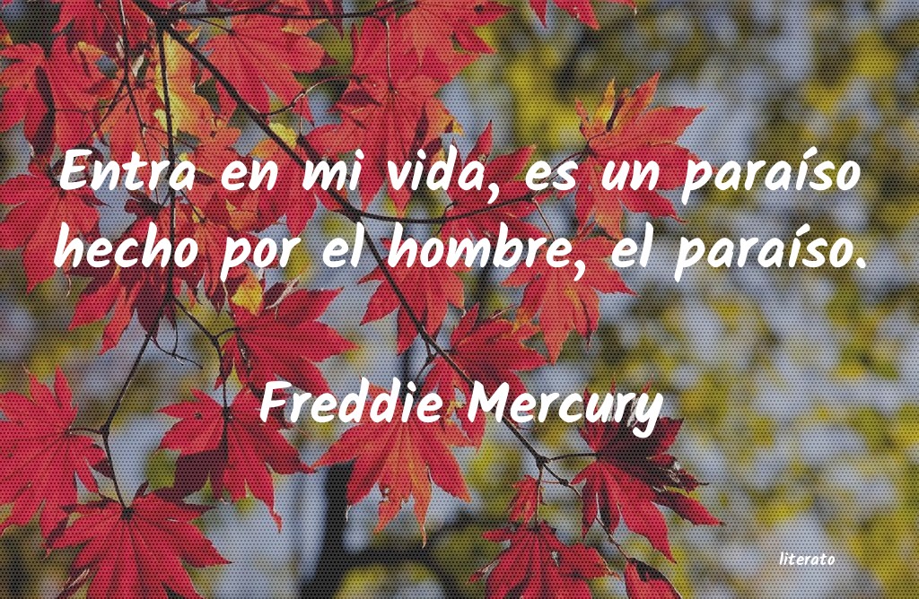 Frases de Freddie Mercury