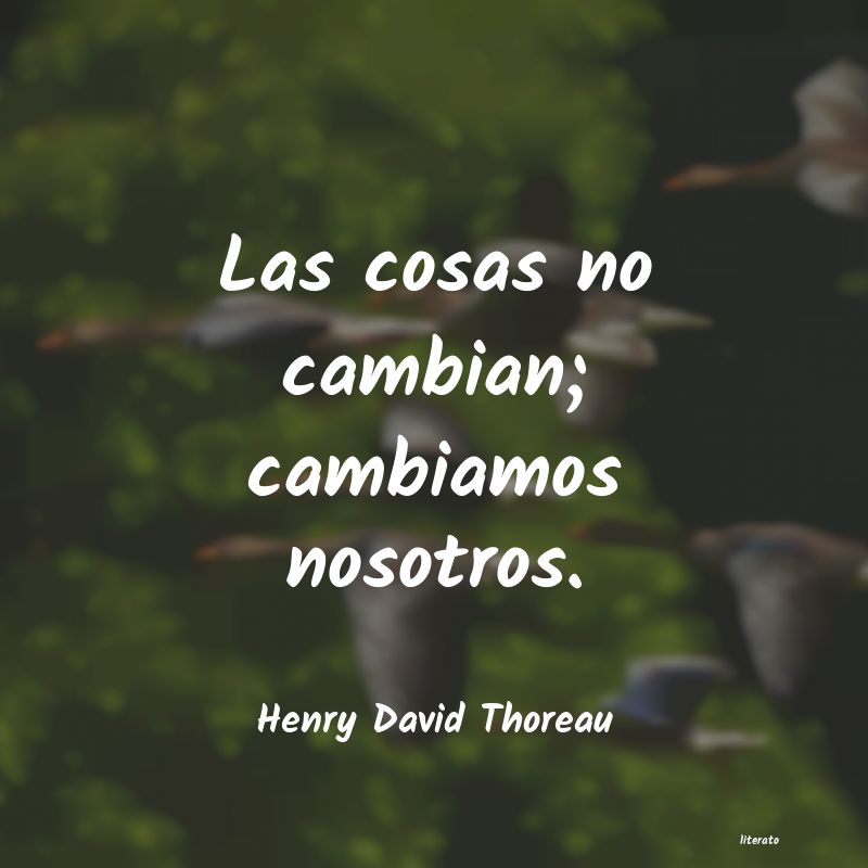 Frases de Henry David Thoreau