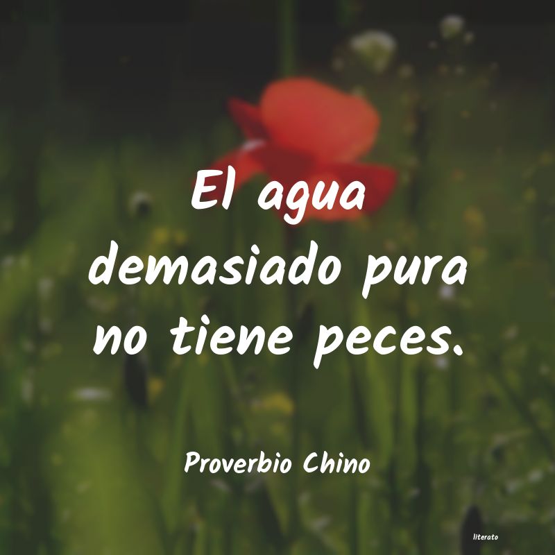 proverbios chinos