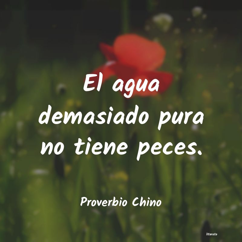 Frases de Proverbio Chino