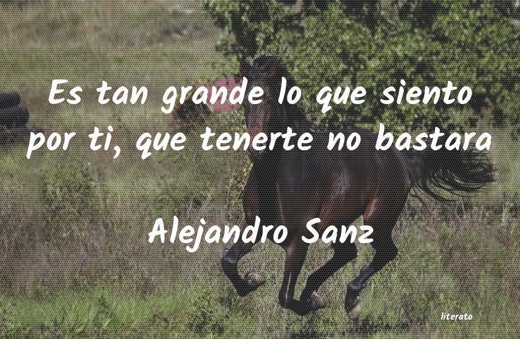 Frases de Alejandro Sanz