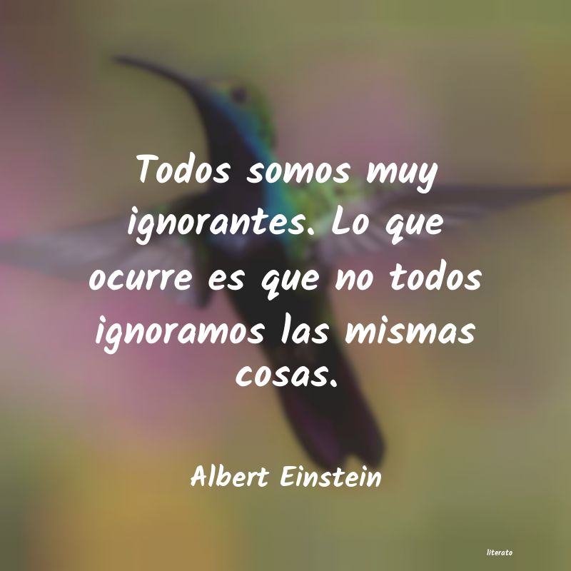 Frases de Albert Einstein