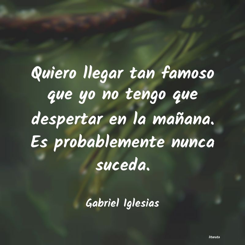 Frases de Gabriel Iglesias