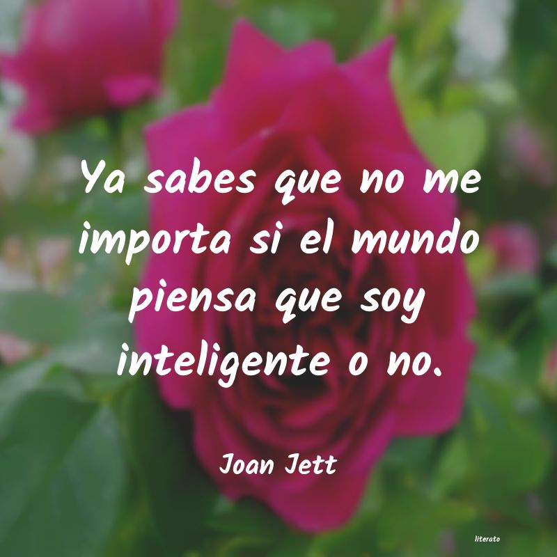 Frases de Joan Jett