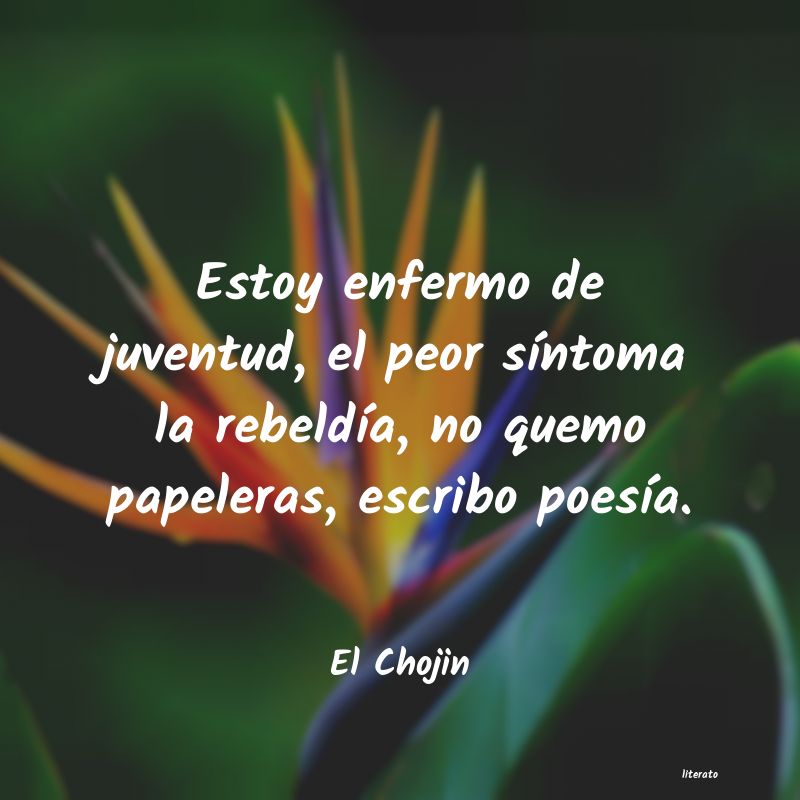 Frases de El Chojin