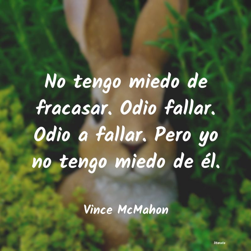 Frases de Vince McMahon