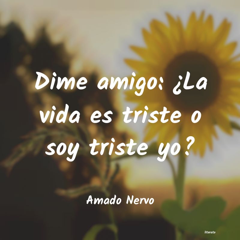 Frases de Amado Nervo