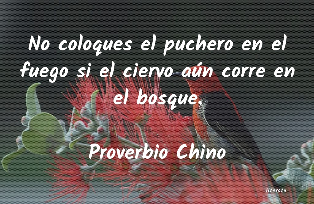 frases de Proverbio Chino