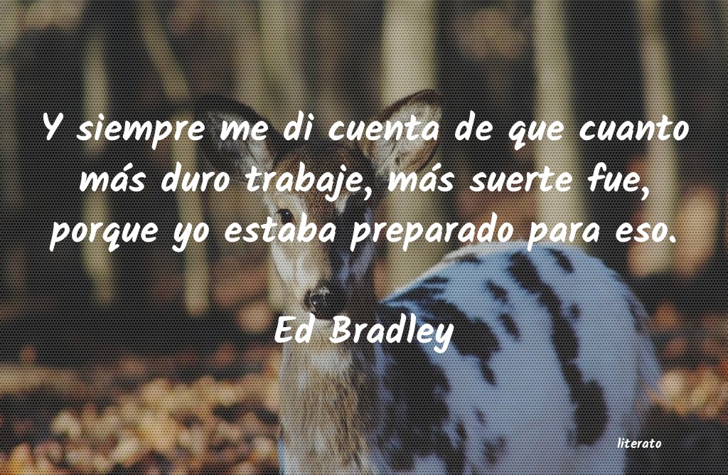 Frases de Ed Bradley