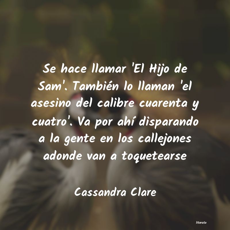 Frases de Cassandra Clare