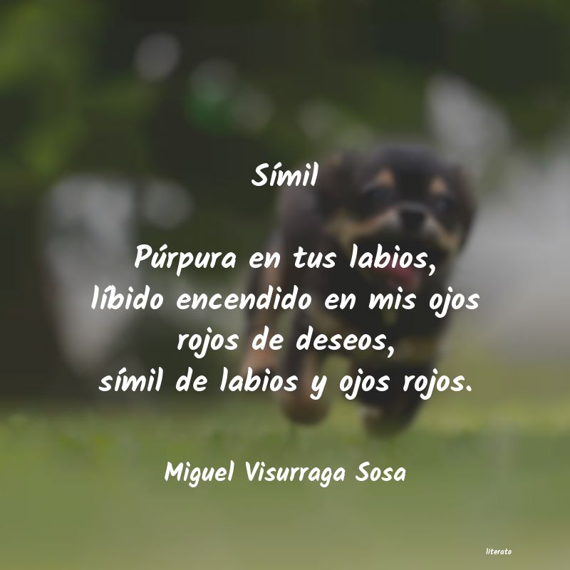frases de Miguel Visurraga Sosa