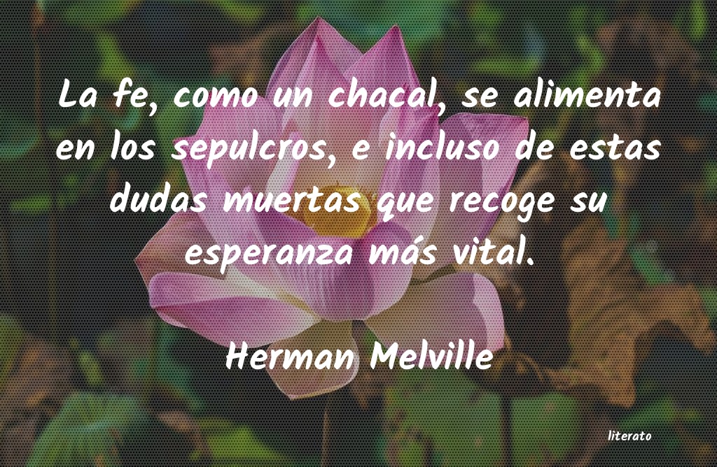 frases de Herman Melville