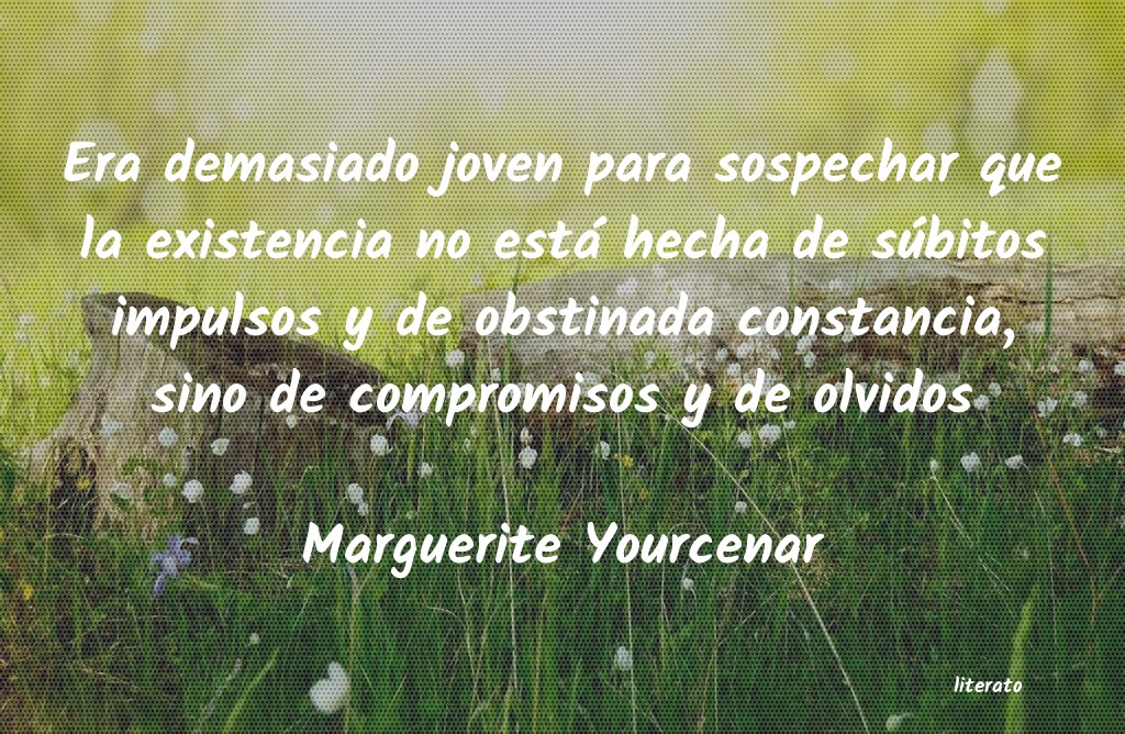 Frases de Marguerite Yourcenar