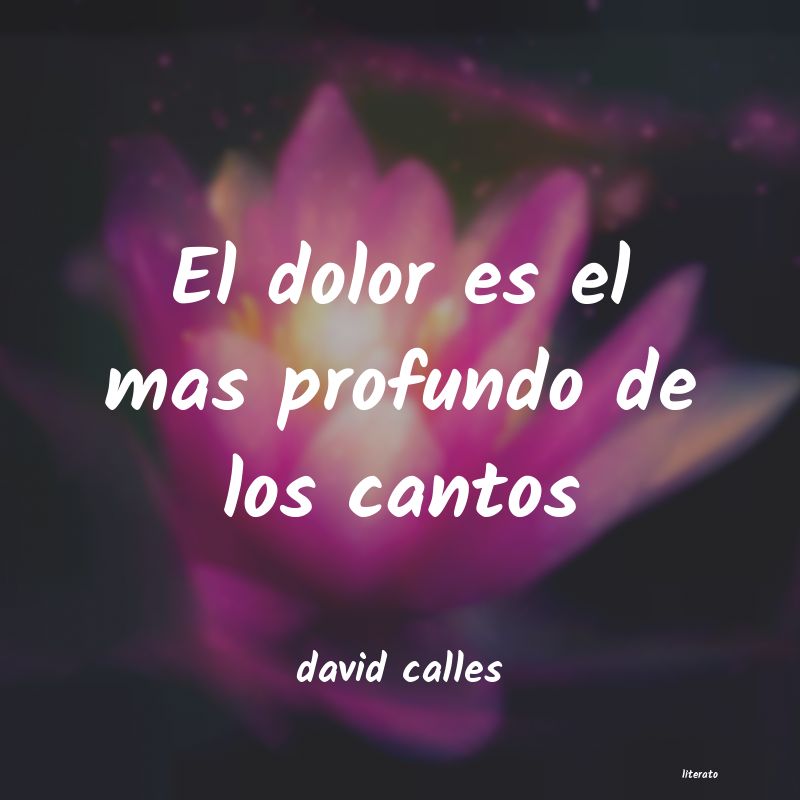 Frases de david calles